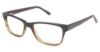 Picture of Vision's Eyeglasses 204