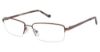 Picture of Vision's Eyeglasses 231