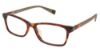 Picture of Vision's Eyeglasses 239