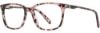 Picture of Adin Thomas Eyeglasses AT-550