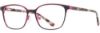 Picture of db4k Eyeglasses Eclipse