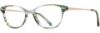 Picture of db4k Eyeglasses Stellar