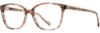 Picture of Scott Harris Eyeglasses SH-826