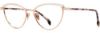 Picture of State Optical Eyeglasses Ohio