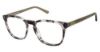 Picture of Aeropostale Eyeglasses Aero1005