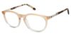 Picture of Aeropostale Eyeglasses Aero2005