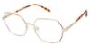 Picture of Aeropostale Eyeglasses Aero4003