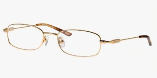 Picture of Polo Eyeglasses PP8021