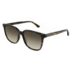 Picture of Gucci Sunglasses GG0376SN