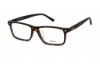 Picture of Bally Eyeglasses BY5016-D
