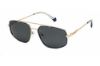 Picture of Polaroid Core Sunglasses PLD 2112/S