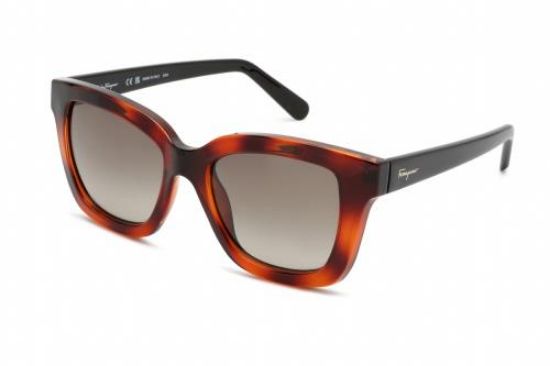 Picture of Salvatore Ferragamo Sunglasses SF955S