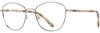 Picture of Cinzia Eyeglasses CIN-5146
