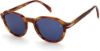 Picture of David Beckham Sunglasses DB 1044/S