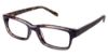Picture of Seventy One Eyeglasses Longwood