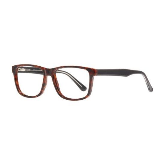 Picture of Georgetown Eyeglasses GTN808