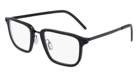 Picture of Flexon Eyeglasses B2037