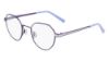 Picture of Flexon Eyeglasses J4013