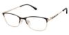 Picture of Alexander Collection Eyeglasses Blake