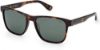 Picture of Bmw Sunglasses BW0032