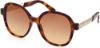 Picture of Swarovski Sunglasses SK0365