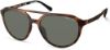 Picture of Kenneth Cole Sunglasses KC7261