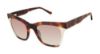 Picture of L.A.M.B. Sunglasses LA576