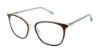 Picture of Buffalo David Bitton Eyeglasses BW019
