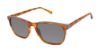 Picture of Ted Baker Sunglasses TMS092