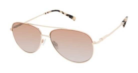 Picture of Ted Baker Sunglasses TWS160