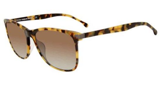 Picture of Lozza Sunglasses SL4162M