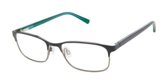 Picture of Ted Baker Eyeglasses B989