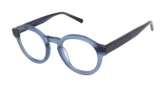 Picture of Ted Baker Eyeglasses B990