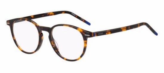 Picture of Hugo Eyeglasses HG 1226