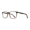 Picture of Georgetown Eyeglasses GTN810