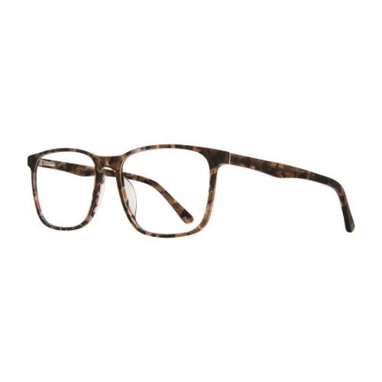 Picture of Georgetown Eyeglasses GTN810