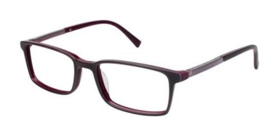 Picture of Ted Baker Eyeglasses B873