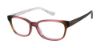 Picture of Ted Baker Eyeglasses B954