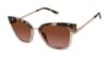 Picture of Ted Baker Sunglasses TBW123