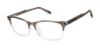 Picture of Ted Baker Eyeglasses TMBIO002