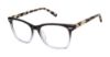 Picture of Ted Baker Eyeglasses TWBIO001