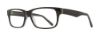 Picture of Serafina Eyewear Eyeglasses Massimo
