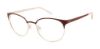 Picture of Buffalo David Bitton Eyeglasses BW513