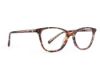 Picture of Rip Curl Eyeglasses RC 2067