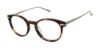 Picture of Ted Baker Eyeglasses TB807