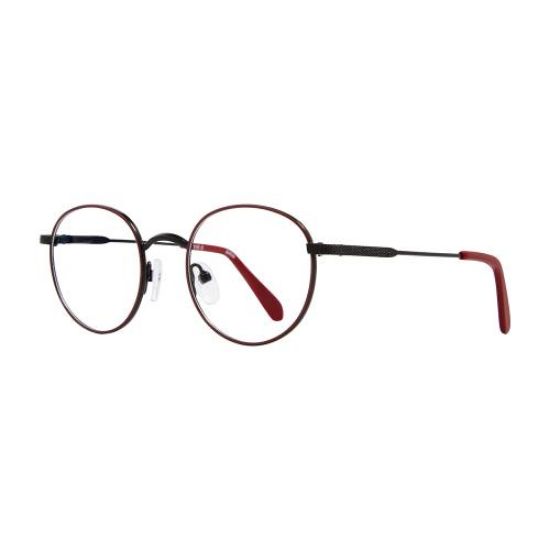 Picture of Stylewise Eyeglasses SW534