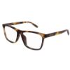 Picture of Saint Laurent Eyeglasses SL 505