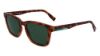 Picture of Lacoste Sunglasses L987S