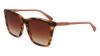 Picture of Longchamp Sunglasses LO719S