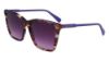 Picture of Longchamp Sunglasses LO719S